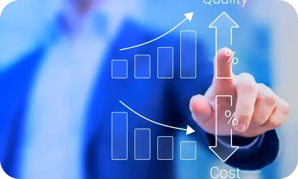 BrynVex portfolio management