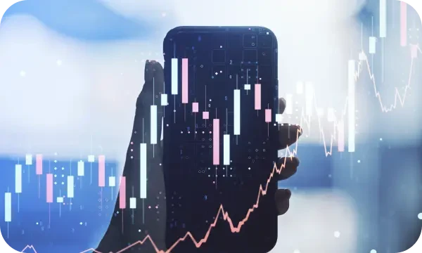 BrynVex capital management